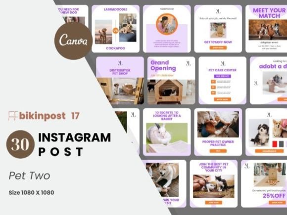 Download Pet Two Canva Instagram Post Template - Instagram post Collection